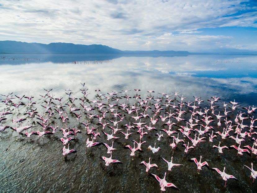 Lake Manyara
